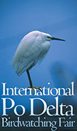 logo international deltapo