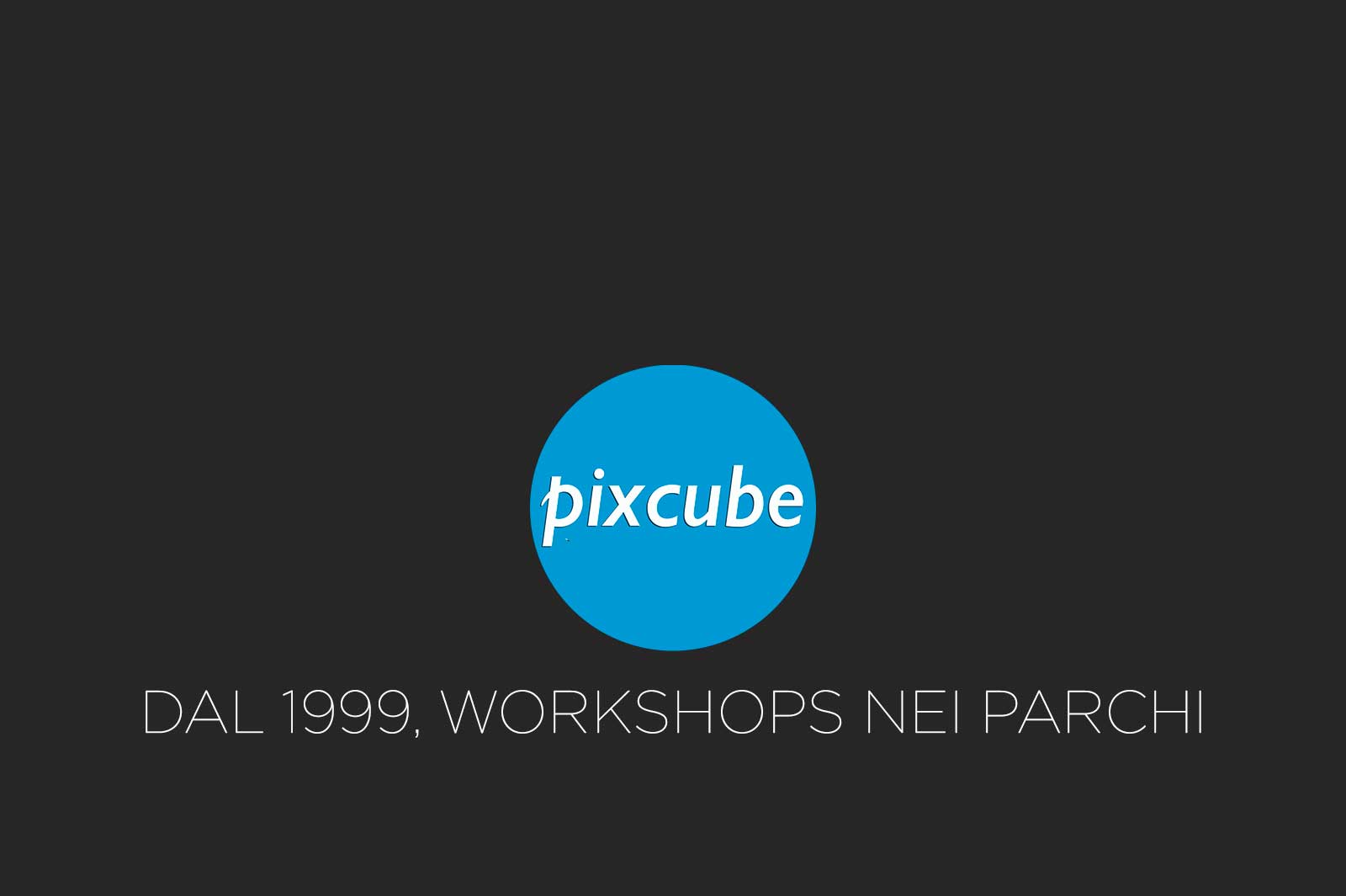 PIXCUBE WORKSHOPS DAL1999