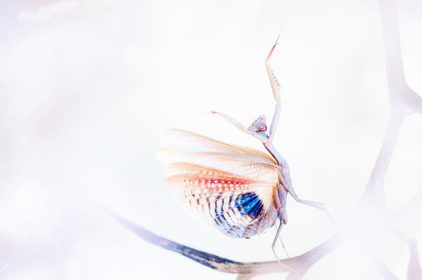 10092015 DSC 7368