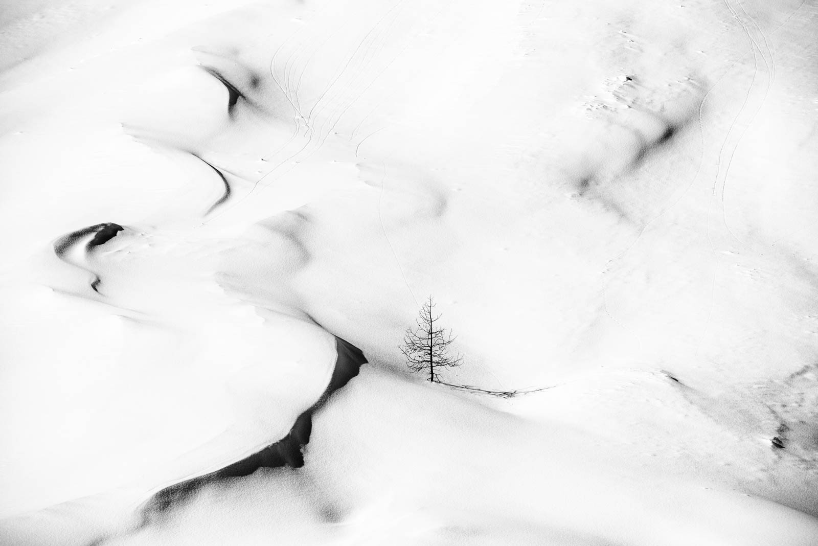 Stanislai GranParadiso2017 85 1 Pixcube