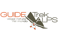 Logo Collaborazione TrekAlps