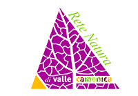 Logo Valcamonica