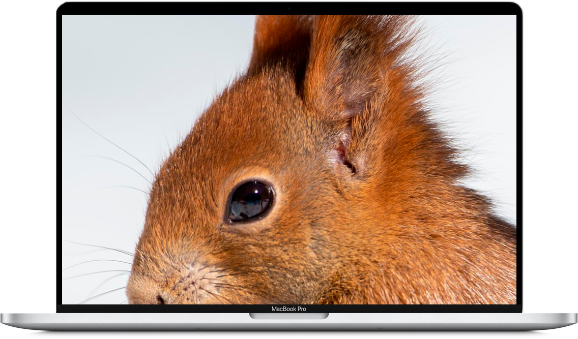 Adobe / Contrasto Locale
