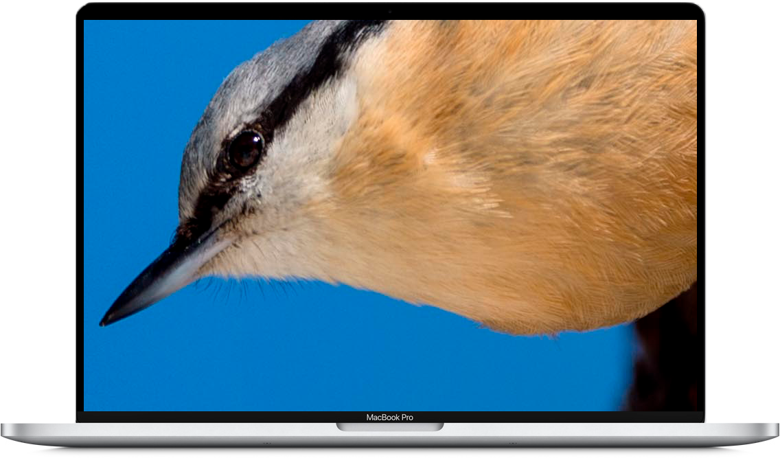 Adobe / Correzione Colore
