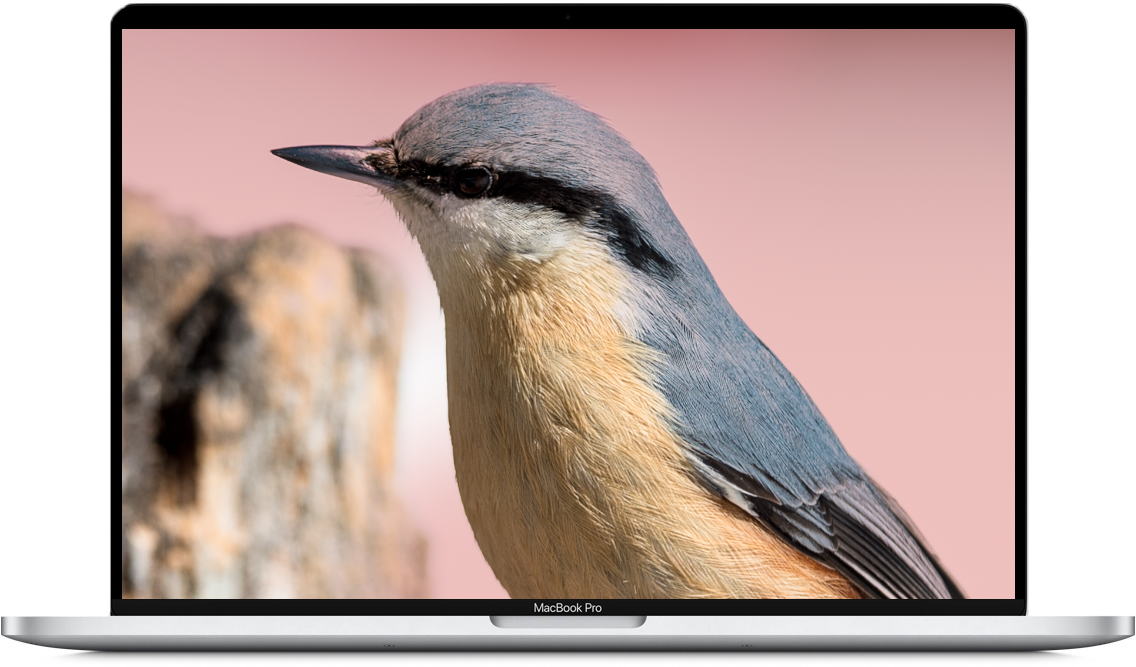 Adobe / Selezioni Locali