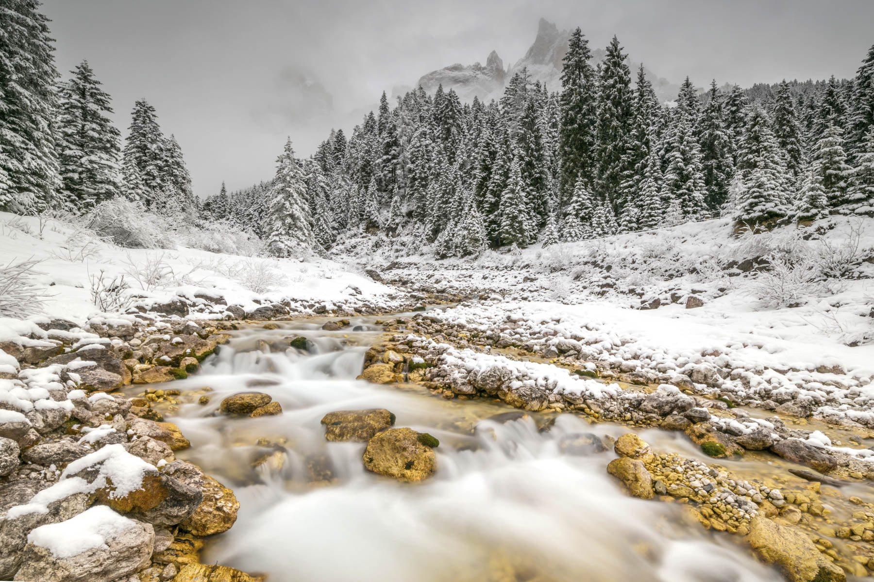 Parco Nat. di Paneveggio Pale di San Martino