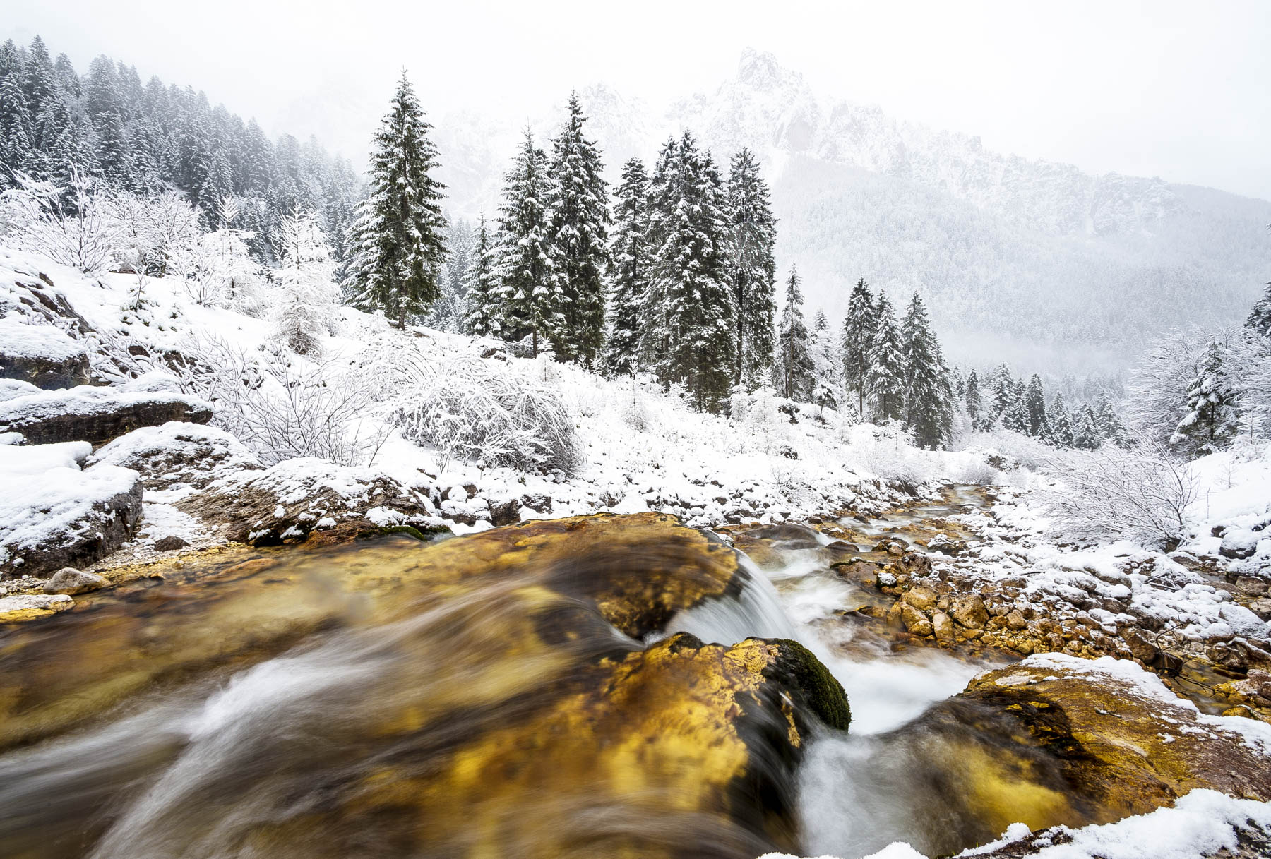 Paneveggio Pale di San Martino