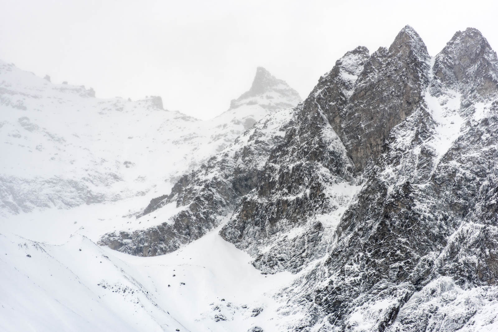 Parco Naz. Gran Paradiso Ed. 2024
