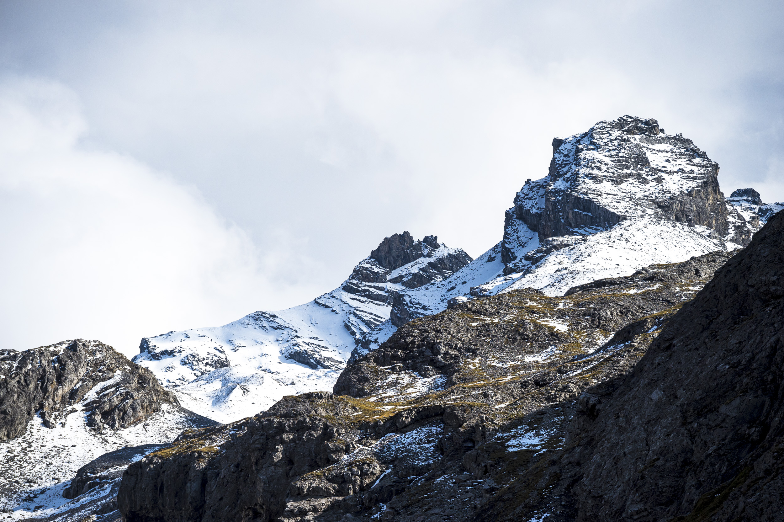 Parco Naz. Stelvio PASSO STELVIO