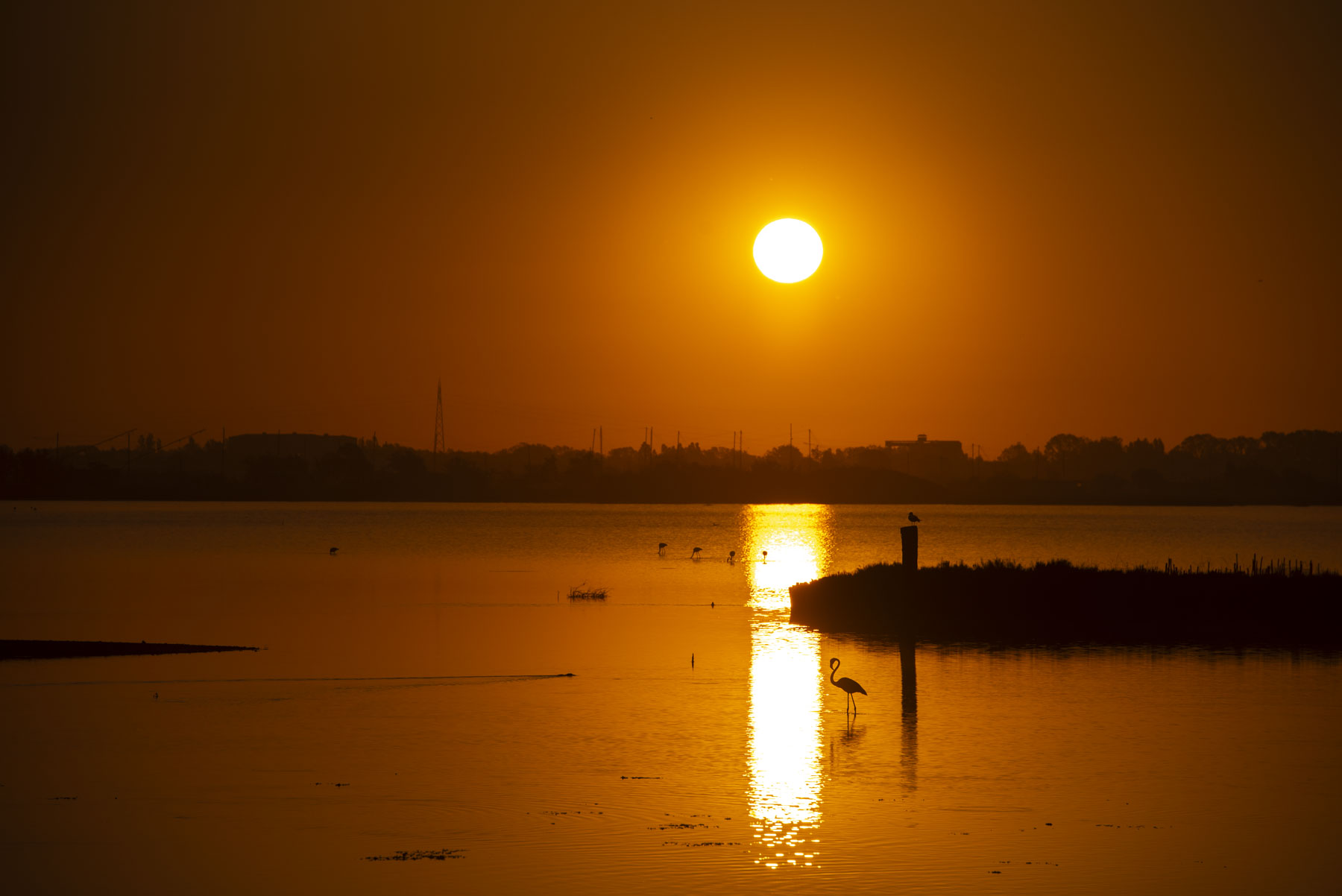 Parco Delta del Po