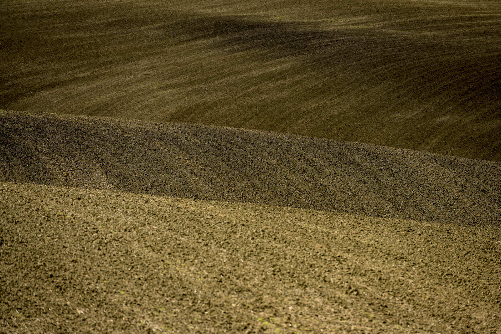 Landscapes in Vald'Orcia