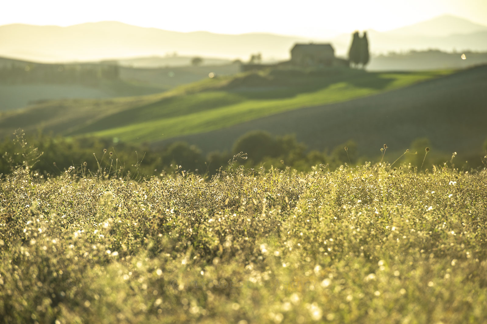 Landscapes in Vald'Orcia
