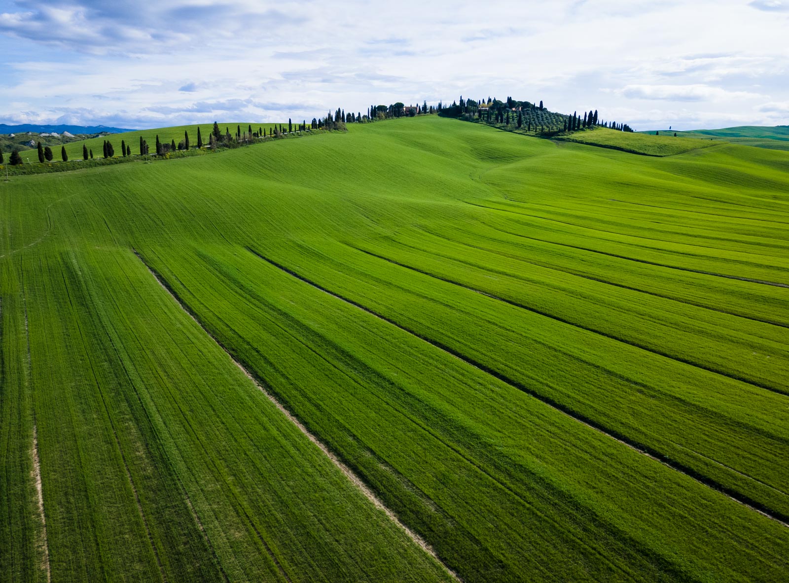 Crete Senesi 2024 Vascona