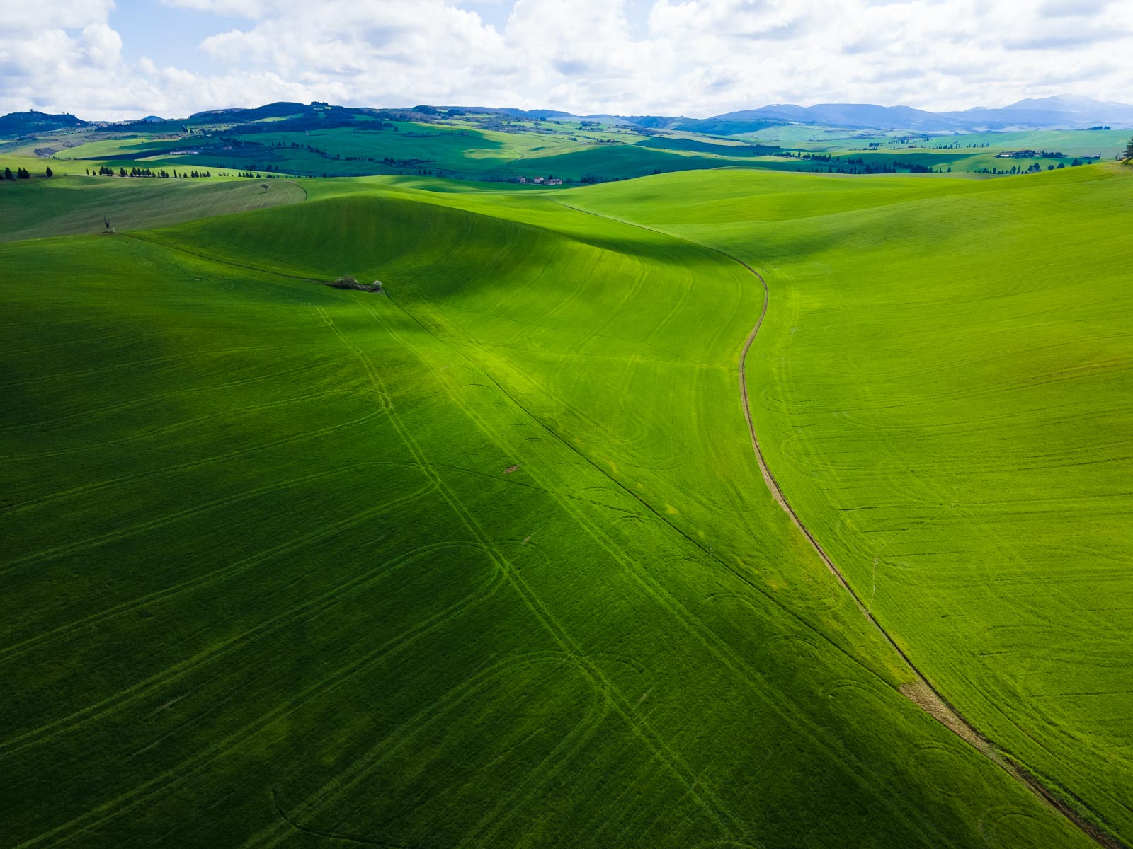 Crete Senesi 2024 Trequanda