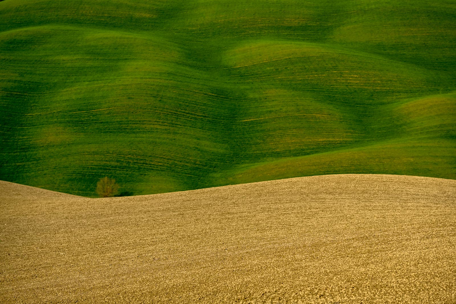 Crete Senesi 2024 Pienza