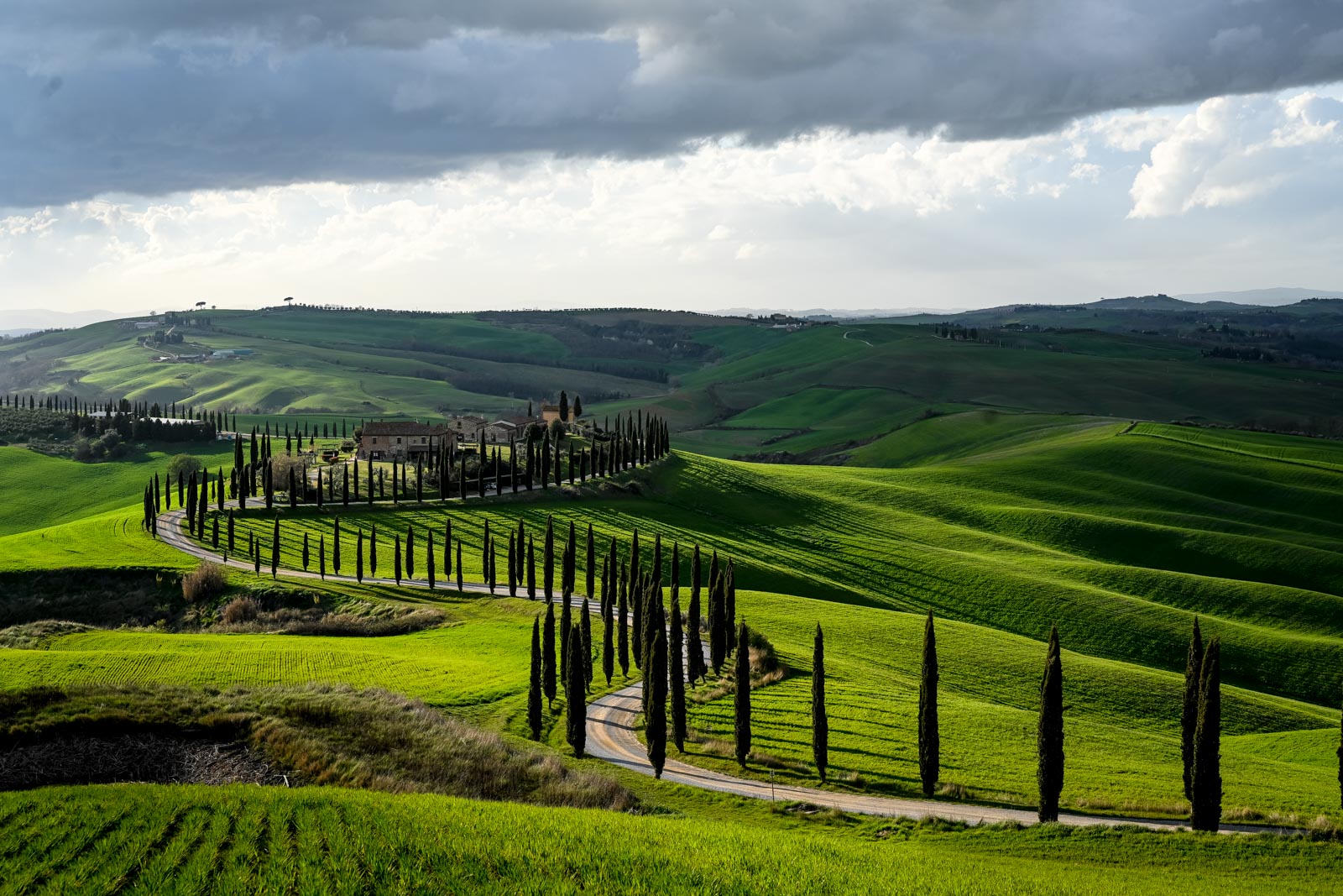 Crete Senesi 2024 Baccoleno