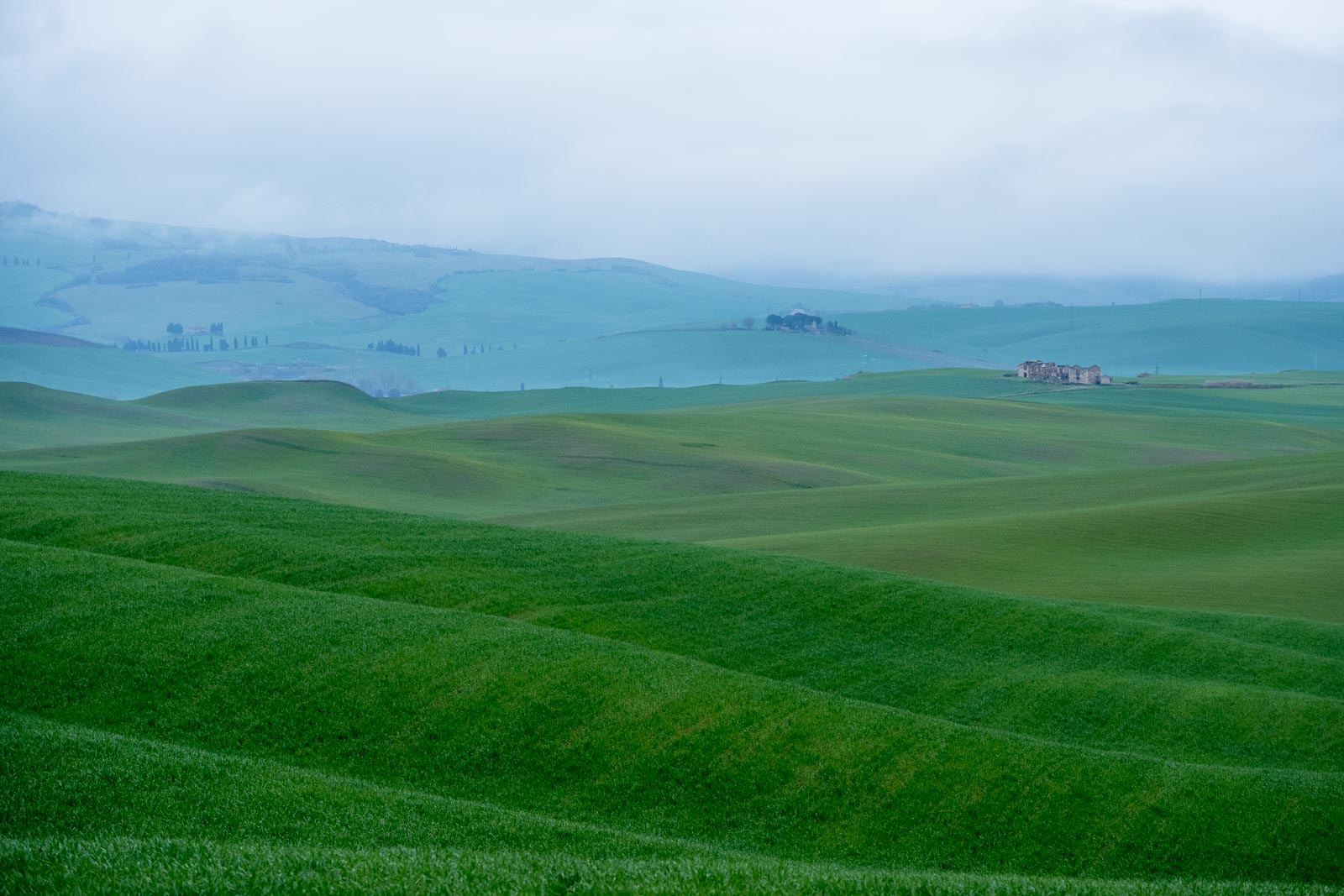 Crete Senesi 2024 Continiano
