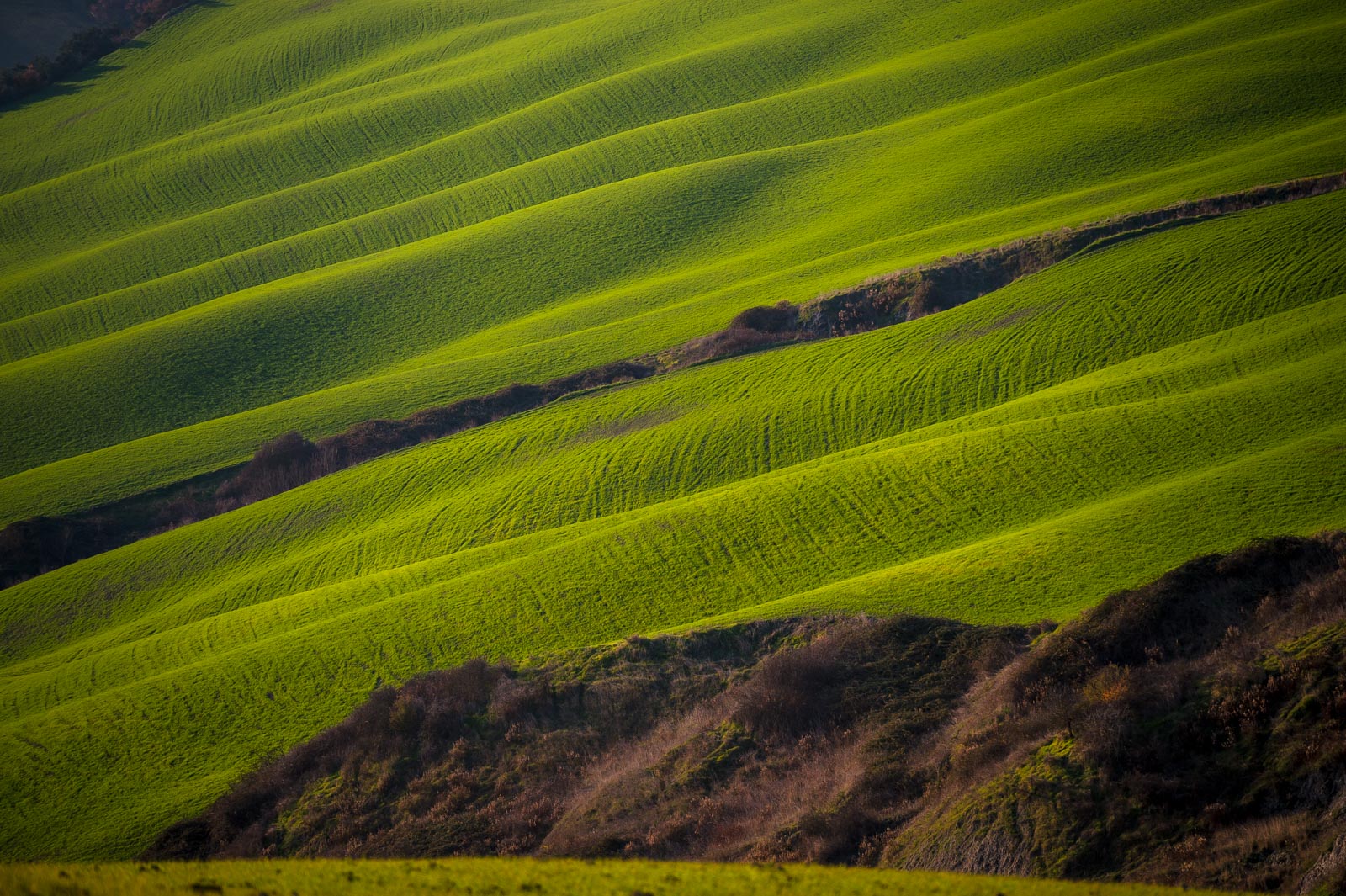 Crete Senesi 2024 - Asciano