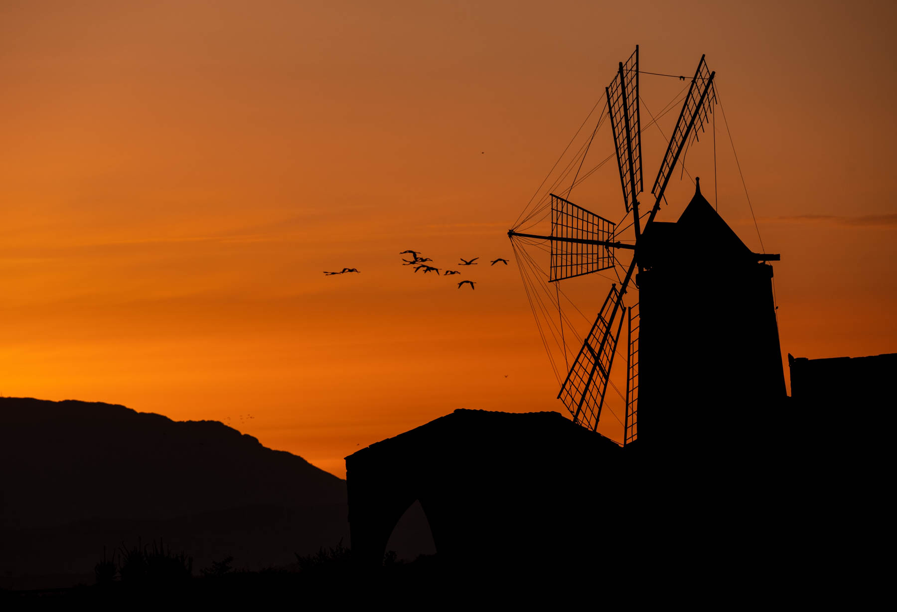 West Sicily - Riserva WWF Saline Trapani